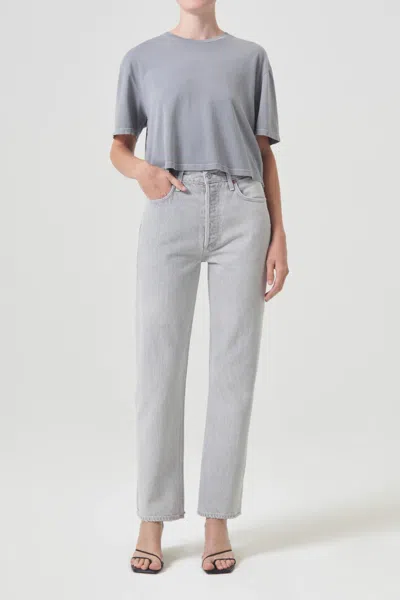 Agolde 90's Pinch Waist High Rise Straight In Rian