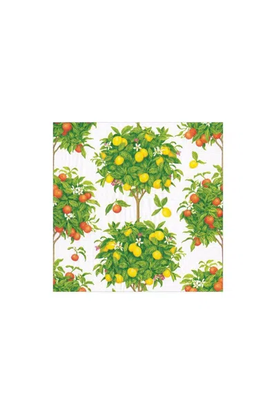 Caspari Citrus Topiaries Paper Cocktail Napkins In White