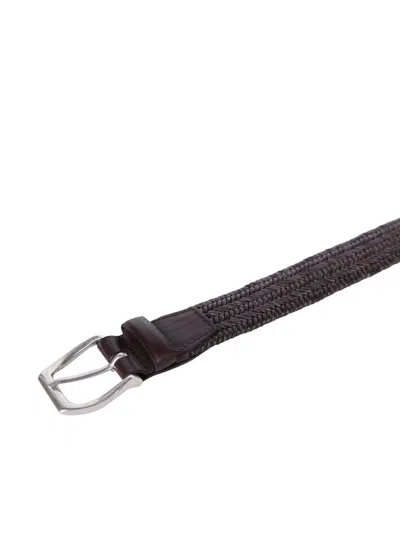 Shop Orciani Belts In Brown