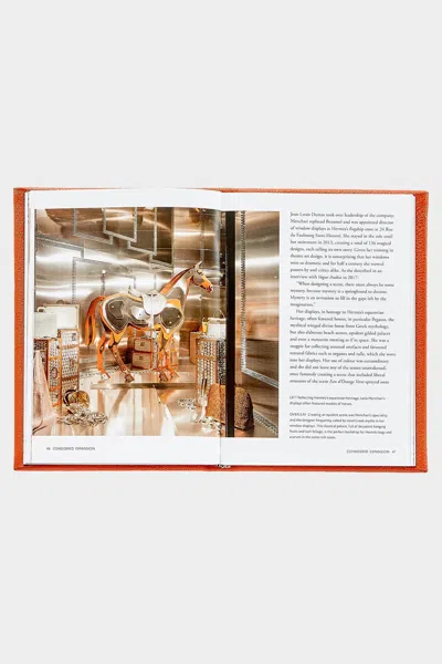 Graphic Image Little Book Of Hermes Leather Edition