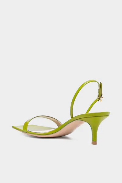Gianvito Rossi Ribbon Kitten Slingback Sandal In Pistachio