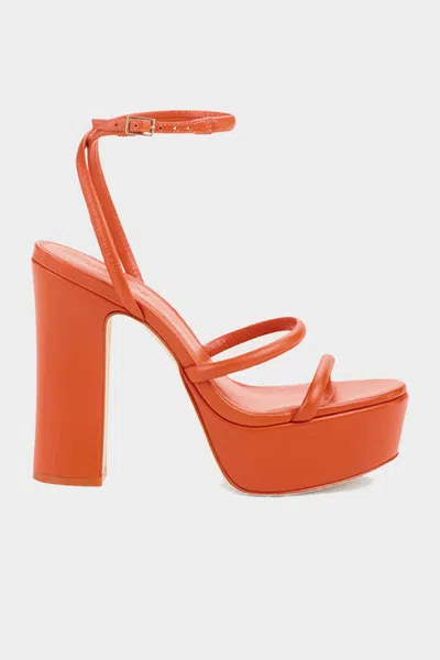 Cult Gaia Talia Platform In Madeira