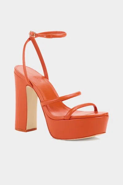 Cult Gaia Talia Platform In Madeira