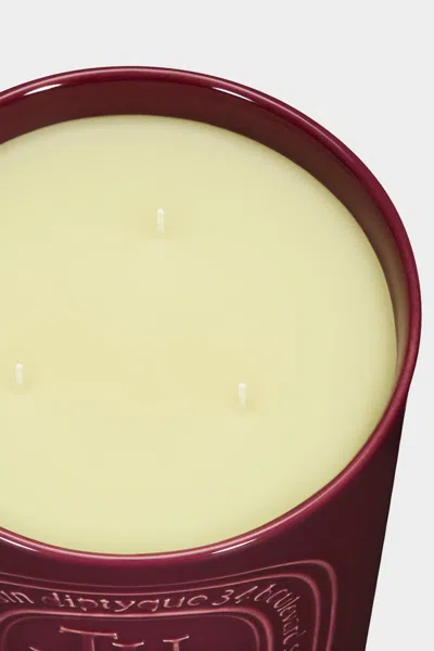 Diptyque Tuberose Large Colored Candle 20.4oz
