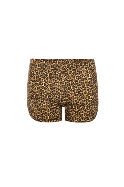 Bcap Booty Short In Leopard