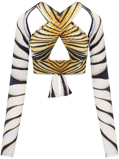 Shop Roberto Cavalli Ray Of Gold Print Cropped Top In Neutrals