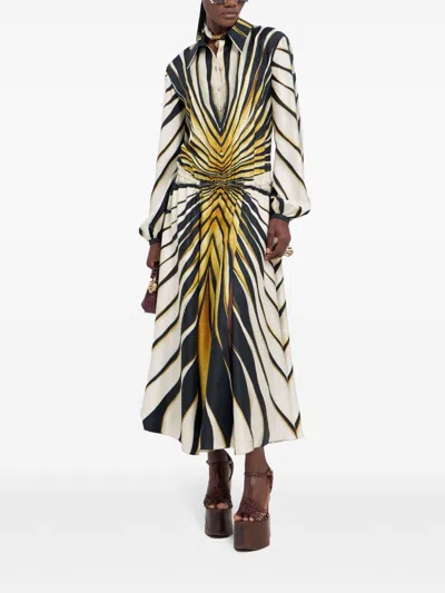 Roberto Cavalli Ray Of Gold Print Silk Shirt Dress In Neutrals