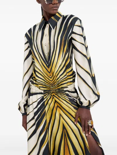 Roberto Cavalli Ray Of Gold Print Silk Shirt Dress In Neutrals