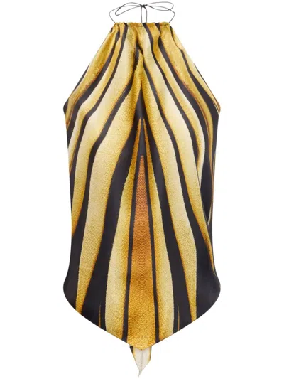 Roberto Cavalli Ray Of Gold Print Halterneck Silk Top In Gold