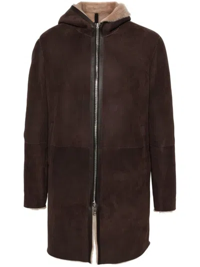 Tagliatore Coat In Brown