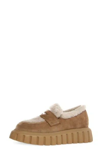 VOILE BLANCHE VOILE BLANCHE GRENELLE GENUINE SHEARLING & SUEDE PLATFORM LOAFER 