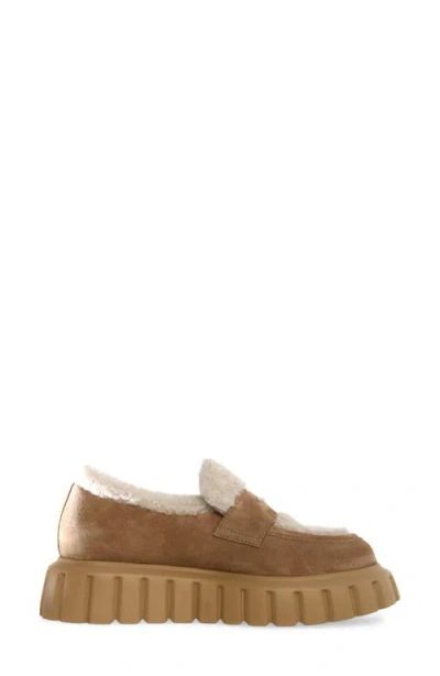 Voile Blanche Grenelle Genuine Shearling & Suede Platform Loafer In Brown