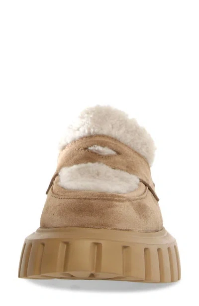 Voile Blanche Grenelle Genuine Shearling & Suede Platform Loafer In Brown