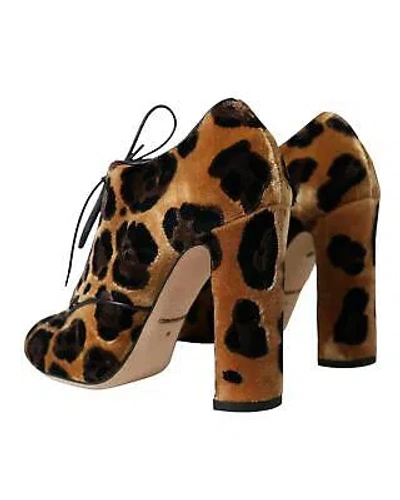 Pre-owned Dolce & Gabbana Leoparden-schnurstiefeletten - Boots - Brown -size 35 In Braun