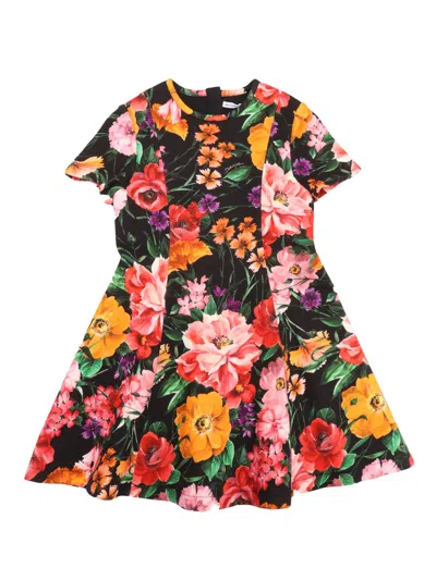 Shop Dolce & Gabbana Junior Short Sleeves Dress In Multi
