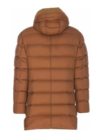 Shop Herno Padded Jacket In Marrón