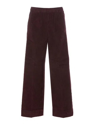 TRUE AVENUE CORDUROY PANTS 