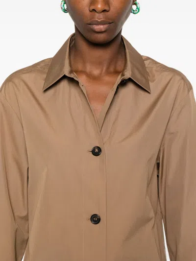 Max Mara Cotton Shirt In Brown