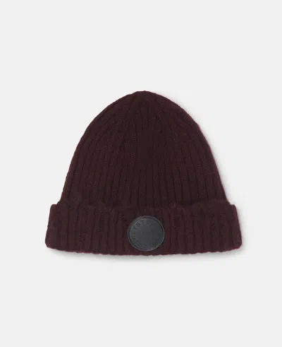 Stella Mccartney Distressed Ribbed Knit Beanie In Chocolate Brown