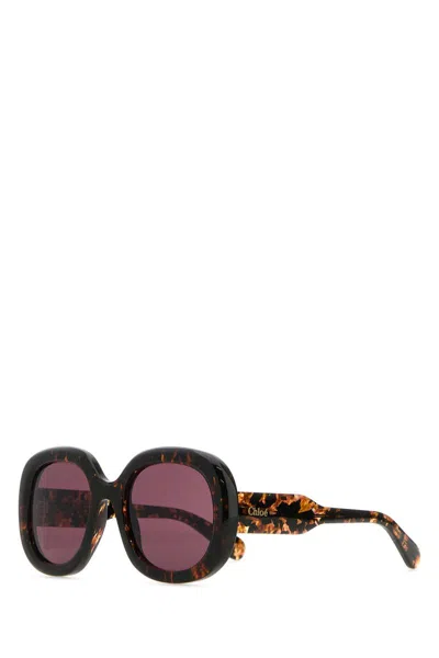 Shop Chloé Sunglasses In Amberbrown