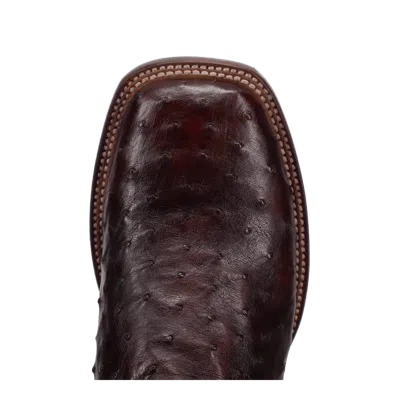 Pre-owned Dan Post Men's Alamosa Full Quill Ostrich Boot Dp5012 In Black/cherry