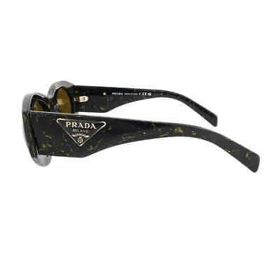 Pre-owned Prada Dark Brown Oval Ladies Sunglasses Pr 20zs 19d01t 53 Pr 20zs 19d01t 53