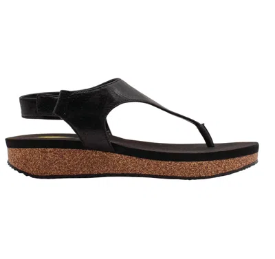 Volatile Trek Water Resistant Flip Flop In Black