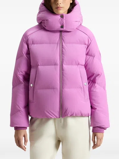 Woolrich Woman's Color Pink Size Xxl In Purple