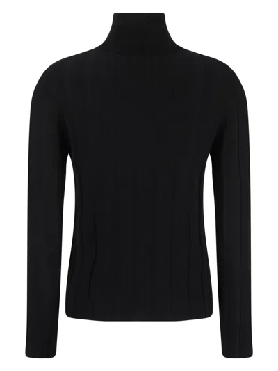 Allude Wool Turtleneck Sweater In Black