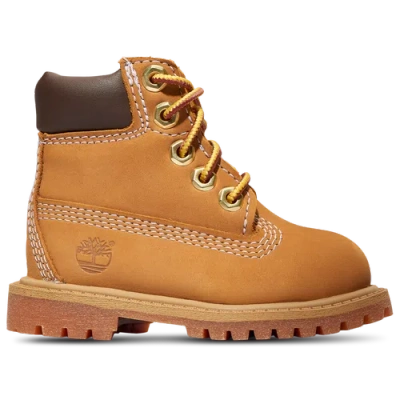 Timberland Premium 6-inch Boots In Wheat/wheat
