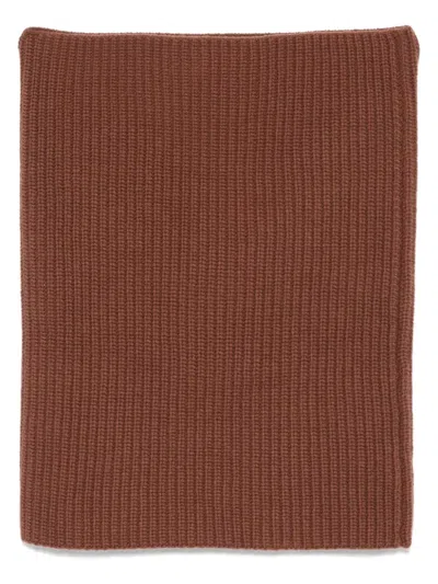 Alysi Virgin-wool Scarf In 褐色