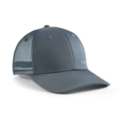 Puma Endure Nyc Trucker Cap In Grey/blue