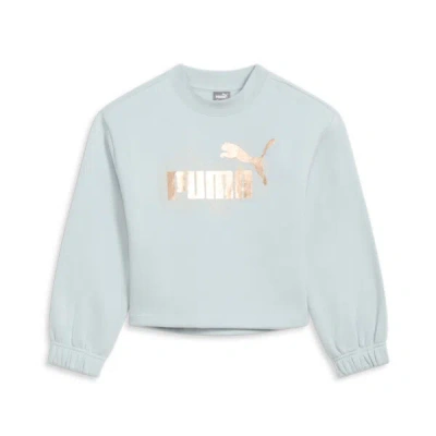 Puma Class Act Big Kids' Sweatshirt In Frosted Dew