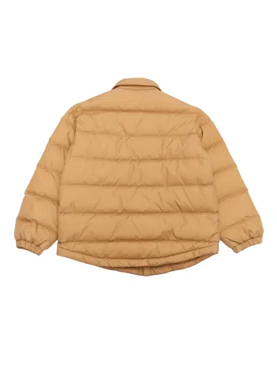 Shop Fendi New Nylon Down Jacket In Beige