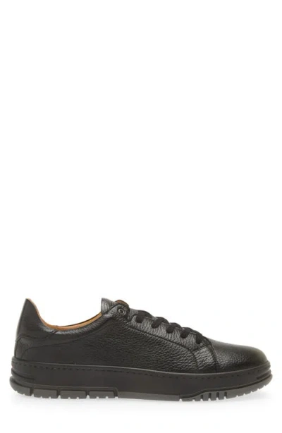 Mezlan Grazia Sneaker In Black