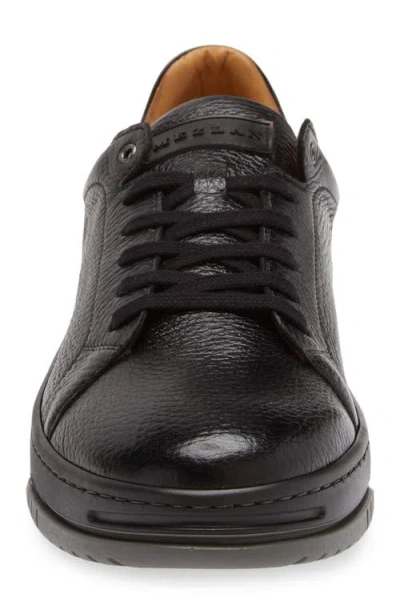 Mezlan Grazia Sneaker In Black