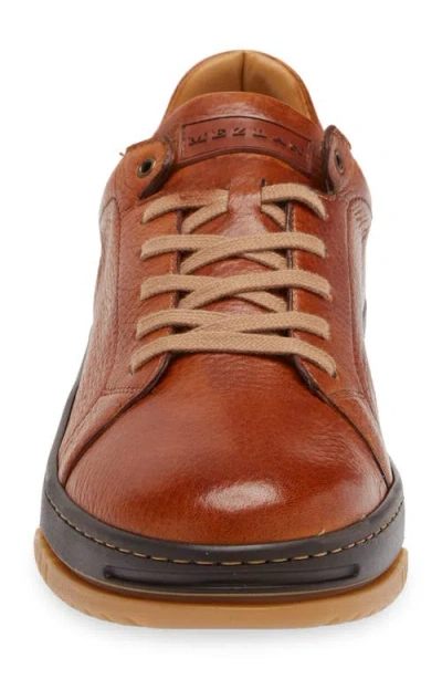 Mezlan Grazia Sneaker In Dark Cognac