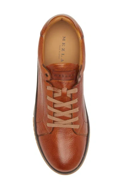 Mezlan Grazia Sneaker In Dark Cognac