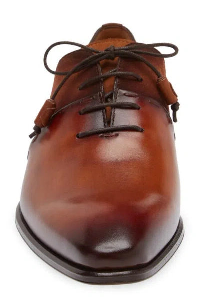 Mezlan Colomer Oxford In Cognac Rust/ Sport