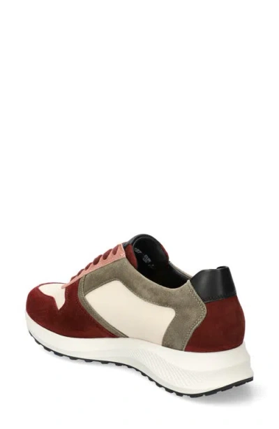 Mephisto Kim Sneaker In Cordovan