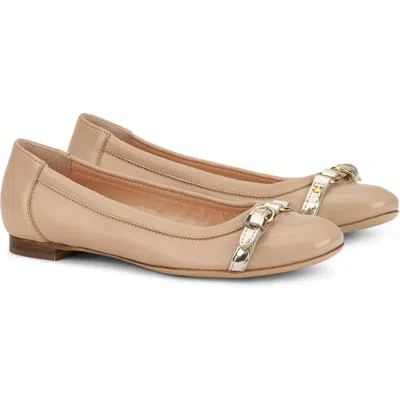 Shop Agl Attilio Giusti Leombruni Agl Monika Cap Toe Ballet Flat In Basi-ghib-gold