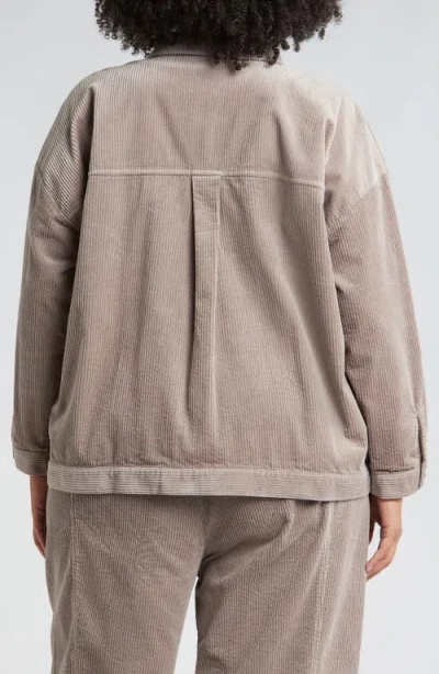 Eileen Fisher Classic Collar Corduroy Jacket In Taupe