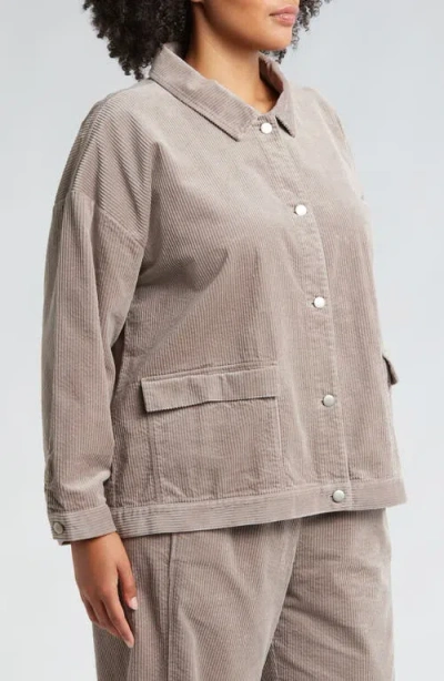 Eileen Fisher Classic Collar Corduroy Jacket In Taupe