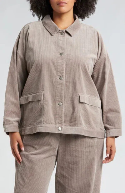 Eileen Fisher Classic Collar Corduroy Jacket In Taupe