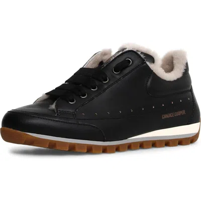 Shop Candice Cooper Runlo Genuine Shearling Lined Sneaker In Black