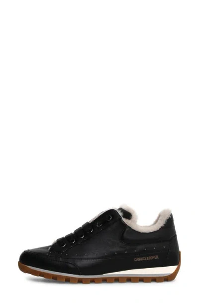 Shop Candice Cooper Runlo Genuine Shearling Lined Sneaker In Black