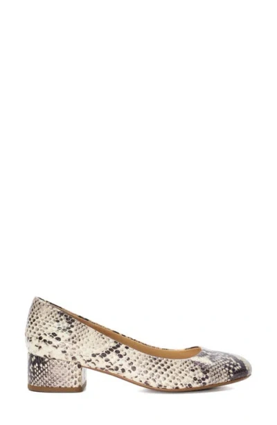 Dune London Bracket Pump In Reptile