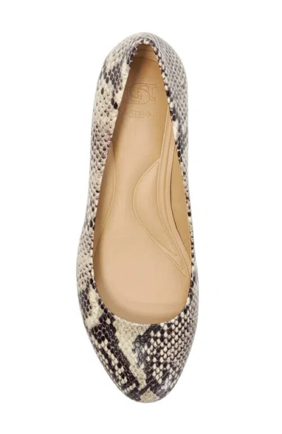 Dune London Bracket Pump In Reptile
