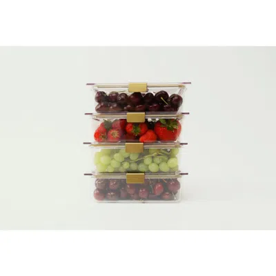 Modern Picnic The Container In Clear