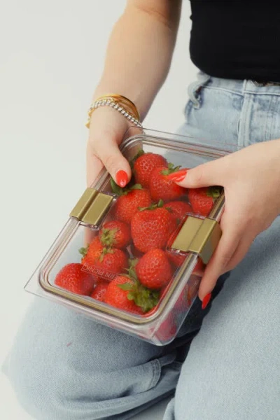 Modern Picnic The Food Container In Clear